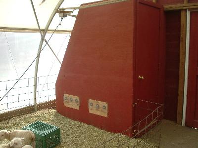 lamb feeder